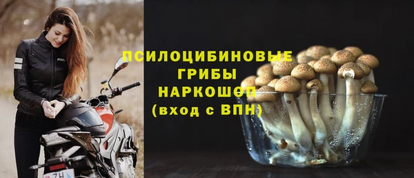 СК Алексеевка