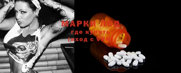 прущий лед Алзамай