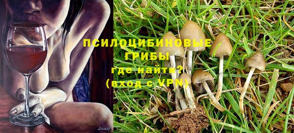 СК Алексеевка