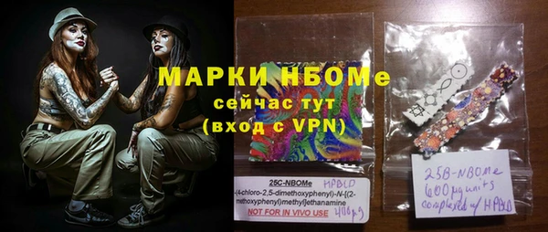 прущий лед Алзамай