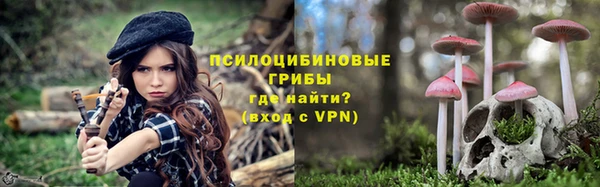 СК Алексеевка