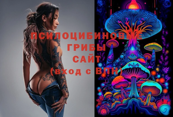 СК Алексеевка
