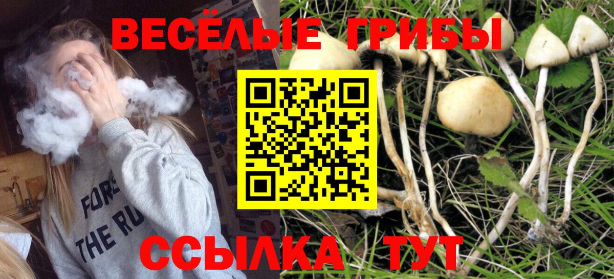 Псилоцибиновые грибы ЛСД Лянтор
