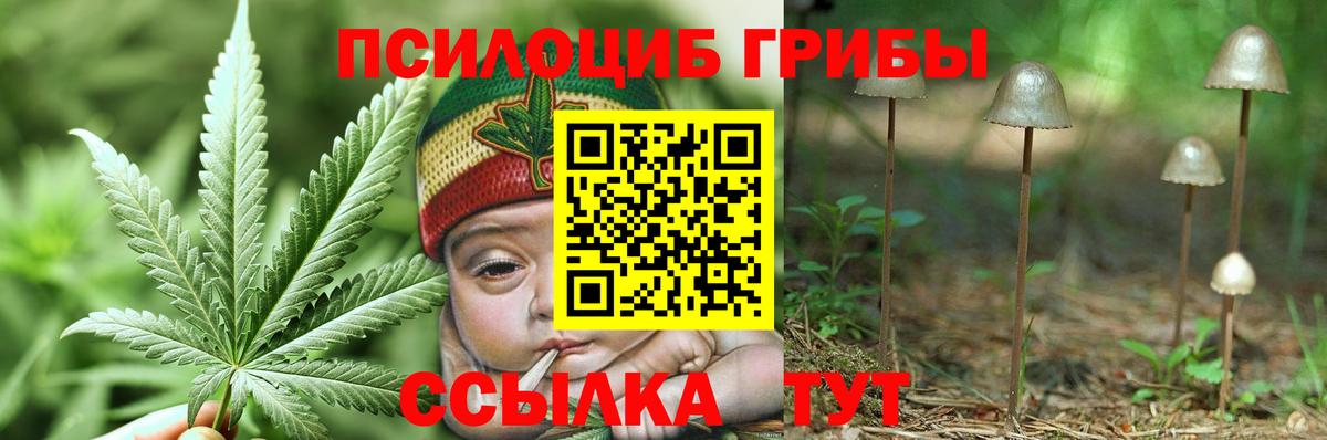Псилоцибиновые грибы прущие грибы  Галлюциногенные грибы Magic Shrooms  Вход с VPN  наркошоп  Лянтор 